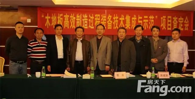 大自然“木地板自动化包装生产线项目”通过专家审定